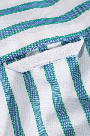 Blue/White Gant Bold Stripe Shirt